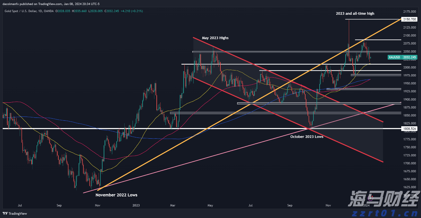 2025美股市场“黑马”现身！从退市危机到热门话题