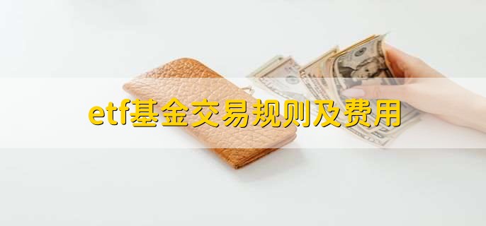 创意赋能高考 湛江四中2025高考助力视频暖心发布