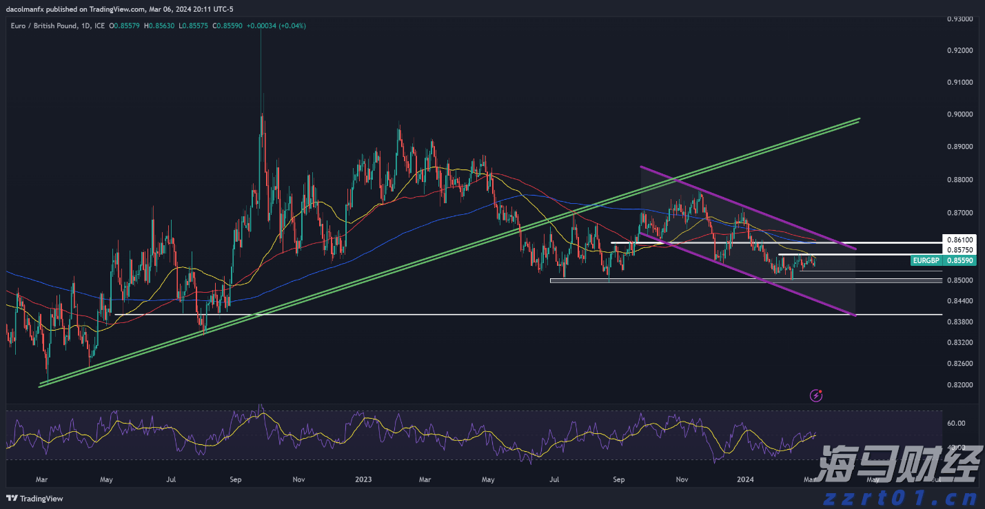 以“档案视角”讲好雷州故事