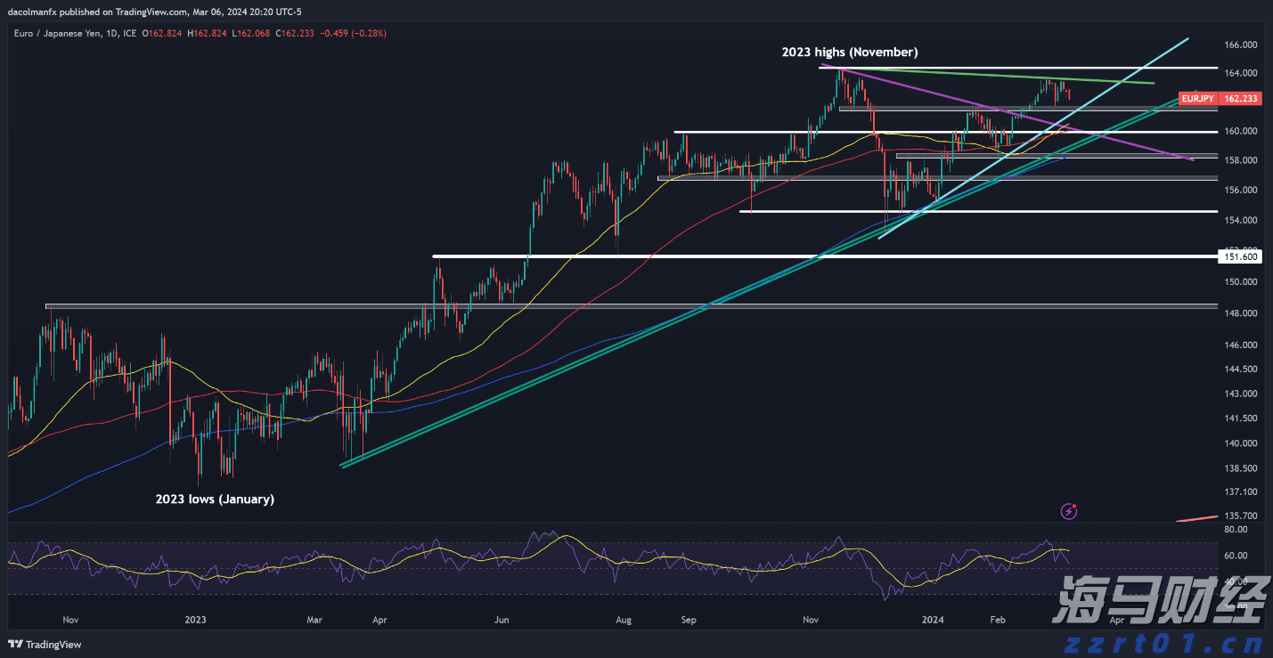 以“档案视角”讲好雷州故事