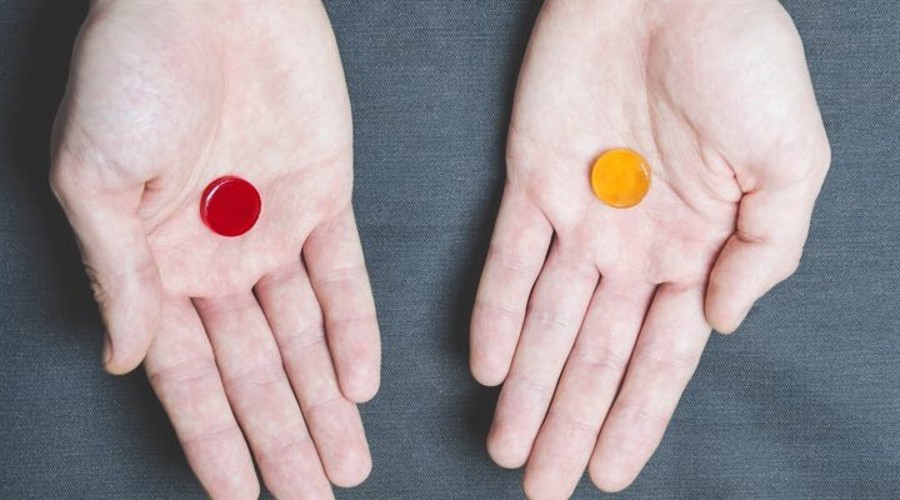 云南“长江禁捕 打非断链”专项行动取得阶段性成效